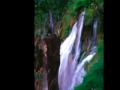 Five Aka Women Yodeling (yelli), Aka Peoples of the Forest