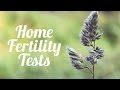 Home Fertility Tests