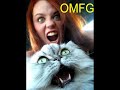 Funny cats