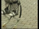 PRO7 newstime Reportage PRO7 newstime Reportage