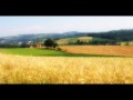 Bruno Martino - Estate Bruno Martino - Estate