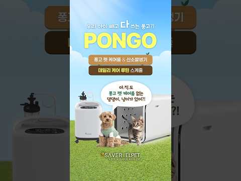우리 아이 빼고 다 쓰는 퐁고 펫 케어룸?