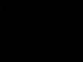Treueschwur FEK9 2009
