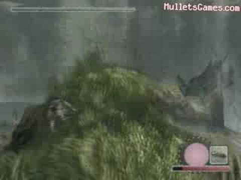 Shadow of the Colossus