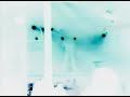 UR SINX - Enjoy the silence (Vivo)