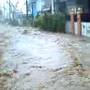 Typhoon Milenyo sa Bucal Calamba