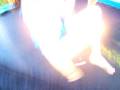 videos de TRAMPoline ;)