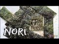 What Is Nori? / How to Make Salmon Hand Rolls Recipe