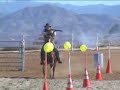 Warsaw Poland Bros - Shot Gun Dave on Wild West Games