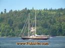 Tall Ships Festival Video Tacoma WA 2005 Boating Sail Boats