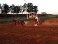 Team Roping Navirai - MS 06