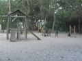Ver o vídeo