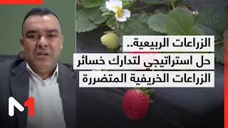 الزراعات الربيعية .. حل استراتيجي لتدارك خسائر الزراعات الخريفية المتضررة