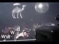 dj Jay Brown DUENDE San Bernardo
