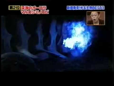 Imagen de previsualización de YouTube