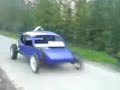 verlaagde kever 463 verlaagde kever 463
