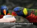 Rescuer\ Rescuer\