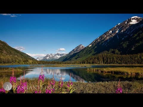 Adyashanti 5 Minute Guided Meditation: The Quiet Background of Existence