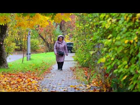 Барановичи день за днем. 28.10.26