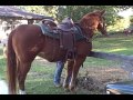 Saddle Up