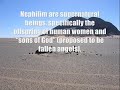 The Nephilim