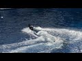 Killer whale kills trainer at Orlando's Sea World:-( -Dawn Brancheau Rip- .mpg