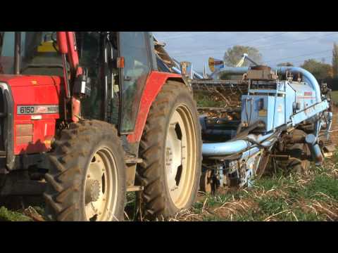 how to harvest crops