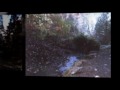 Ravenna Park Reflections