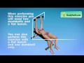 Tricep Workout with Dumbbells for Women: Tricep Exercises on Bench