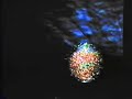 Laser Video Phantasm - Metamorphosis
