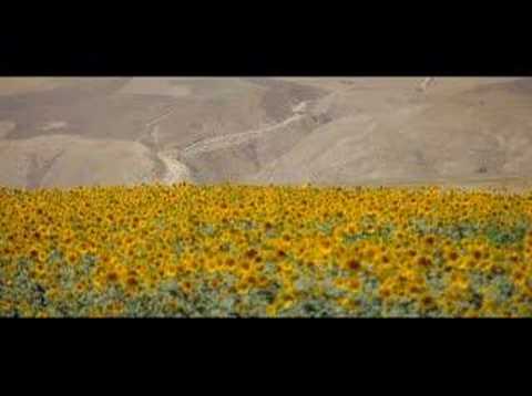Balkh e Bastan / Bokhdi / Bactria -- ...