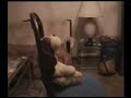 el perro negro