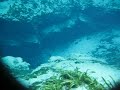 alexander-springs.html