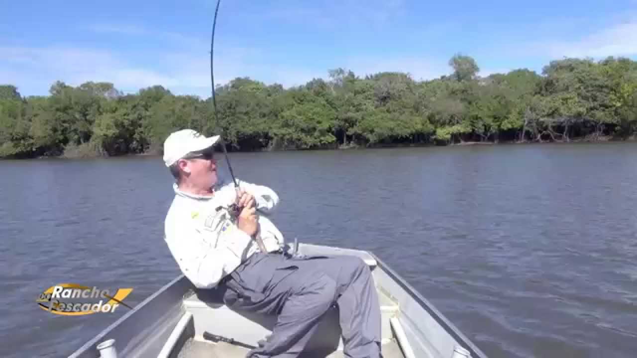 Peixe Pirarucu gigante, mais de 2 metros