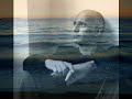 ludovico einaudi   le onde  the waves 