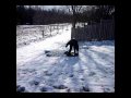 stupid stunts montage View Video