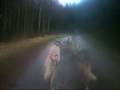 videos de Hill of Three Stones 07 09 Part Two