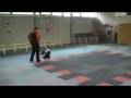 Dogdance met Jamie, Carmen routine WCFO