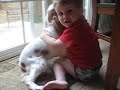 little man little man