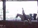 i love my pony comanche lol i love my pony comanche lol