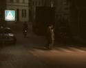 T. E. Schlichenmaier: One Signal