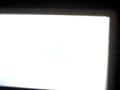 Pokemon Platino-1er Enfrentamiento contra Venus