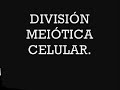 MEIOSIS.wmv