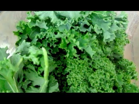 how to recover illness