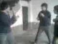 mono vs martin (en el patio)