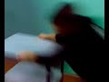 IPSIA corni(x i corridoi del corni) IPSIA corni(x i corridoi del corni)