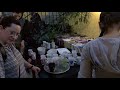 Körkép -3- (2019.01.25.) Körkép -3- (2019.01.25.)