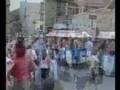 videos de Pirenostrum 2008 - Feria Pirenaica de Luthiers