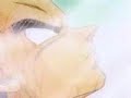 bulma and vegeta! OK???? dub