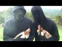 World Farm Animals Day Liberation